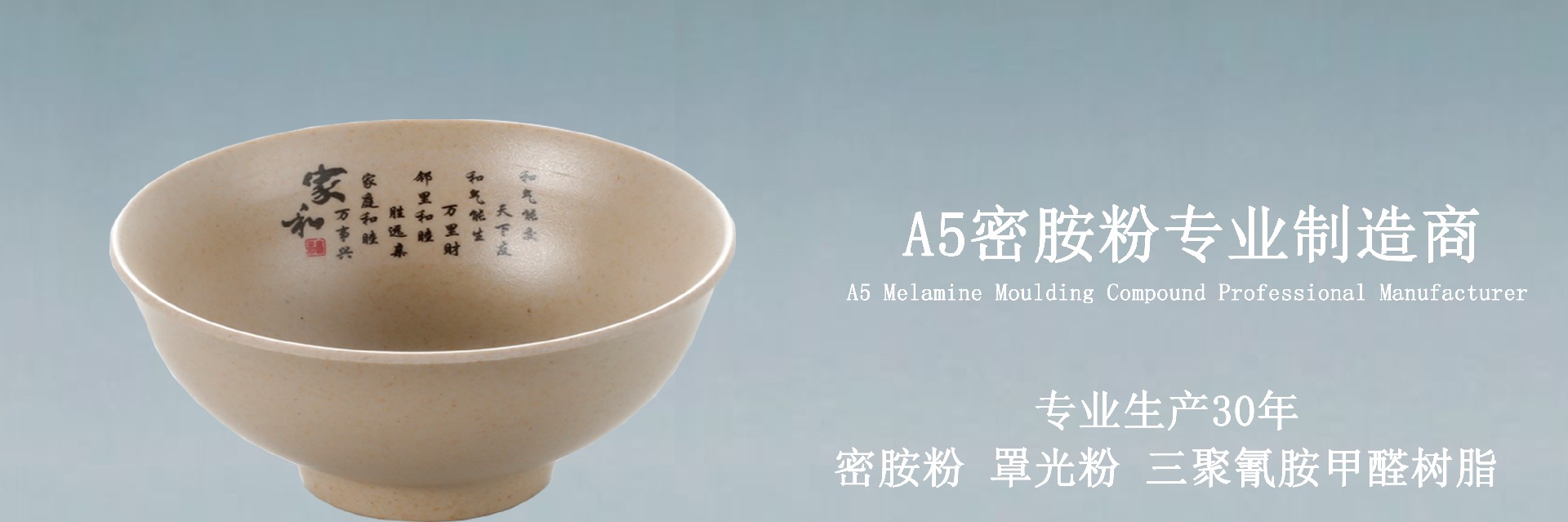 A5_密胺粉专业制造商公司产品展示厅